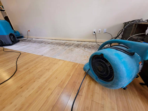 Professional Structural Drying technician working in Chester Springs, PA